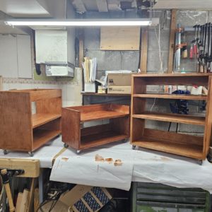 Read more about the article Under Bench Storage Carts